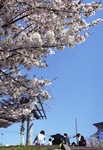 プロジェクト_20090413_0025.jpg